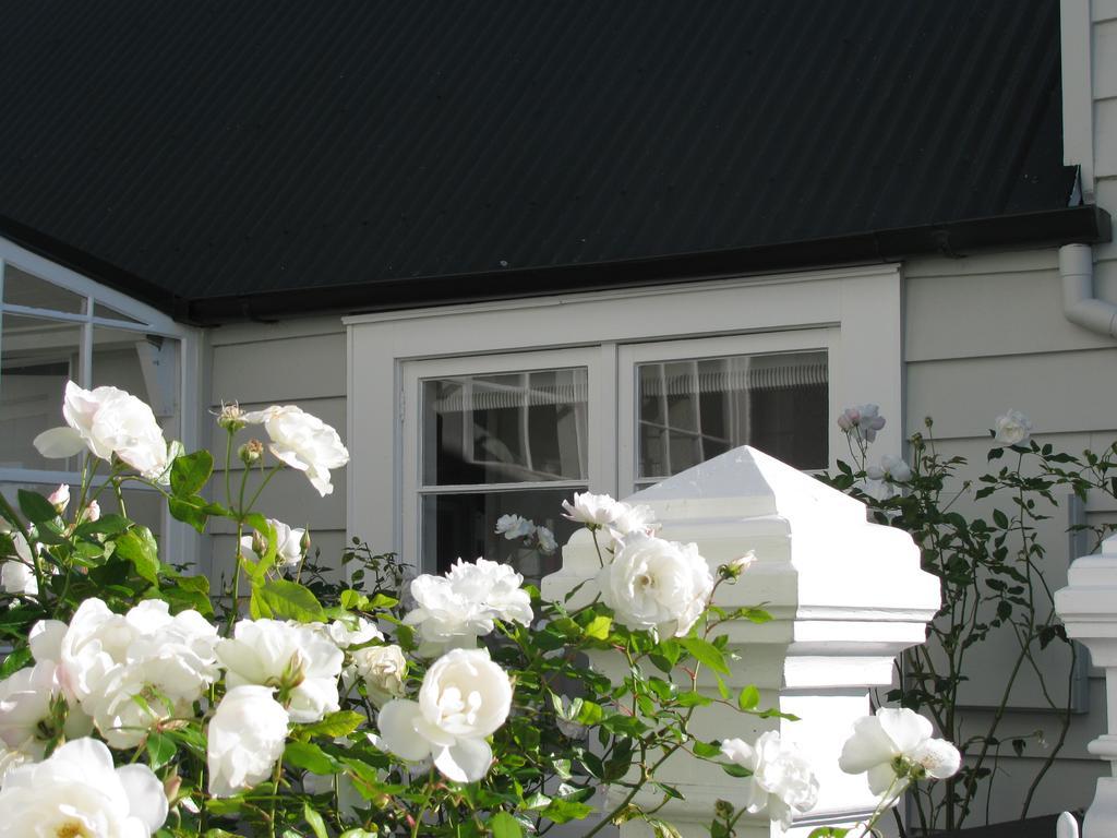 Historic Colenso Cottage Napier Exterior foto
